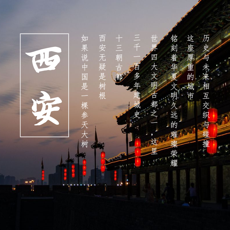 西安旅游 博物館+大雁塔+城墻+鐘鼓樓 市內(nèi)包車一日游(一朝入西安 一日懂千年)當(dāng)?shù)叵驅(qū)эL(fēng)趣講解 可代訂景點(diǎn)門票